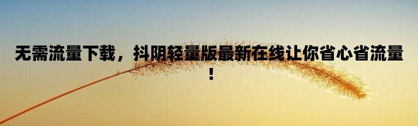 无需流量下载，抖阴轻量版最新在线让你省心省流量！