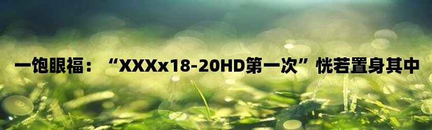 一饱眼福：“xxxx18-20hd第一次”恍若置身其中