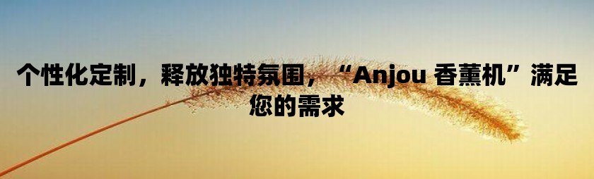 个性化定制，释放独特氛围，“anjou 香薰机”满足您的需求