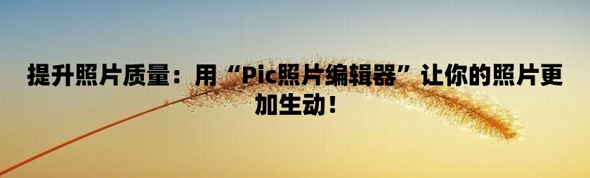 提升照片质量：用“pic照片编辑器”让你的照片更加生动！