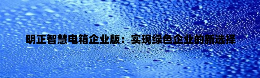 明正智慧电箱企业版：实现绿色企业的新选择