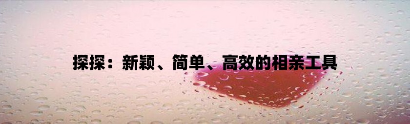 探探：新颖、简单、高效的相亲工具