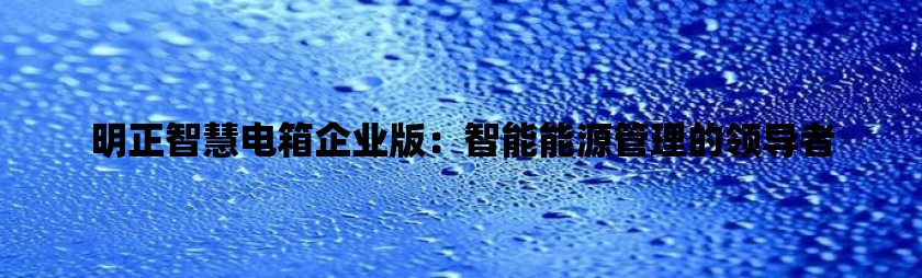 明正智慧电箱企业版：智能能源管理的领导者