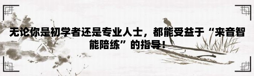 无论你是初学者还是专业人士，都能受益于“来音智能陪练”的指导！