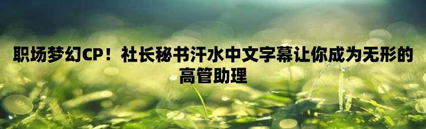 职场梦幻cp！社长秘书汗水中文字幕让你成为无形的高管助理