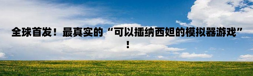 全球首发！最真实的“可以插纳西妲的模拟器游戏”！