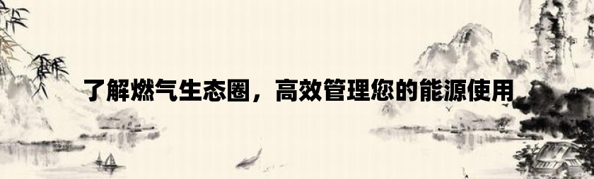 了解燃气生态圈，高效管理您的能源使用