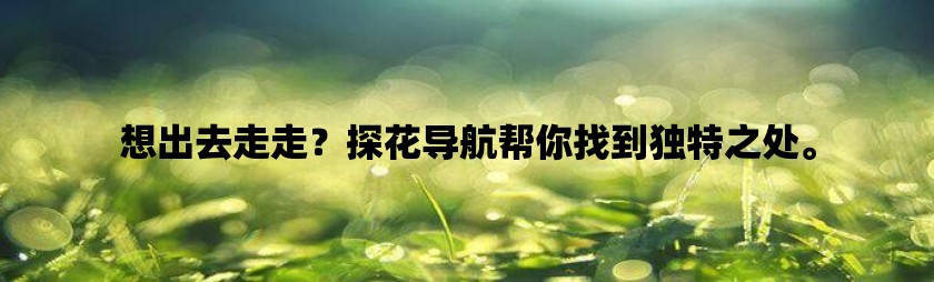 想出去走走？探花导航帮你找到独特之处。