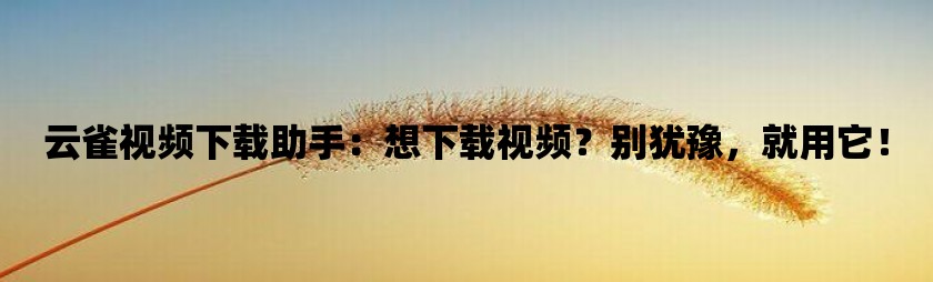 云雀视频下载助手：想下载视频？别犹豫，就用它！