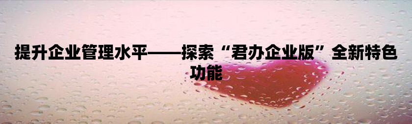 提升企业管理水平——探索“君办企业版”全新特色功能